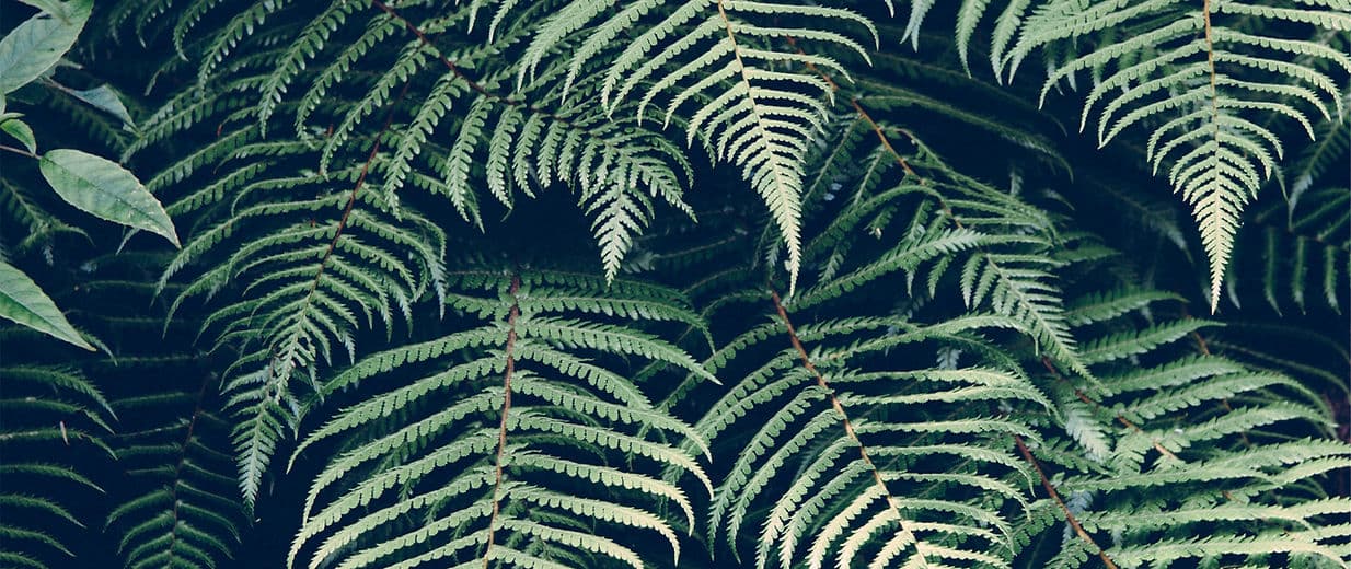 Privacy Policy Background